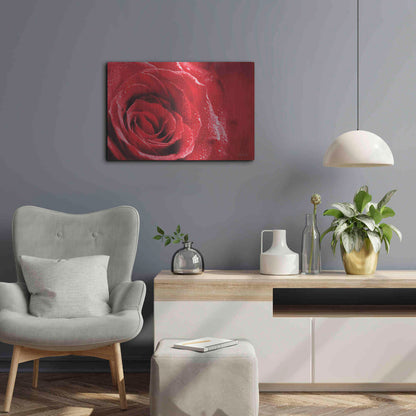 Luxe Metal Art 'Red Rose After Rain' by Lori Deiter, Metal Wall Art,24x16