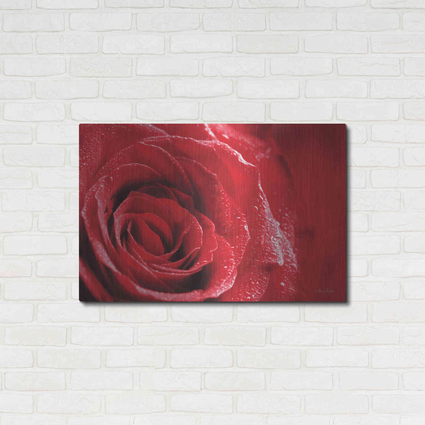 Luxe Metal Art 'Red Rose After Rain' by Lori Deiter, Metal Wall Art,36x24