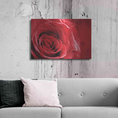 Luxe Metal Art 'Red Rose After Rain' by Lori Deiter, Metal Wall Art,36x24