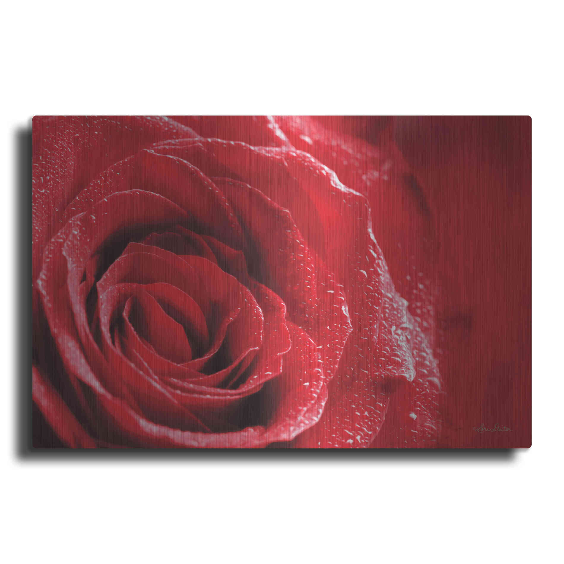 Luxe Metal Art 'Red Rose After Rain' by Lori Deiter, Metal Wall Art