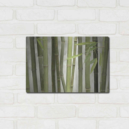 Luxe Metal Art 'Backlit Bamboo I' by Lori Deiter, Metal Wall Art,16x12