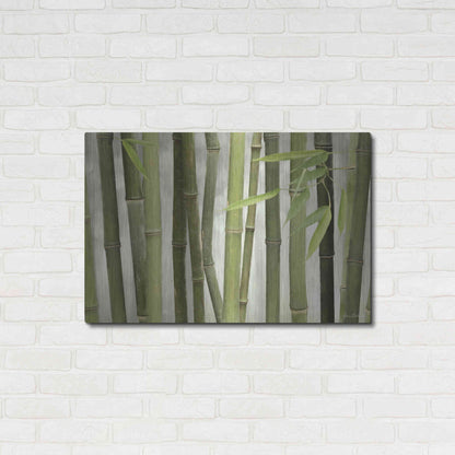 Luxe Metal Art 'Backlit Bamboo I' by Lori Deiter, Metal Wall Art,36x24