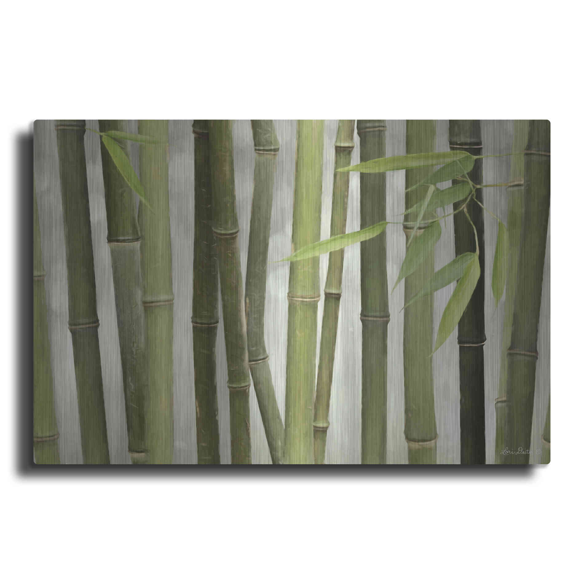 Luxe Metal Art 'Backlit Bamboo I' by Lori Deiter, Metal Wall Art