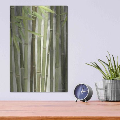 Luxe Metal Art 'Backlit Bamboo II' by Lori Deiter, Metal Wall Art,12x16