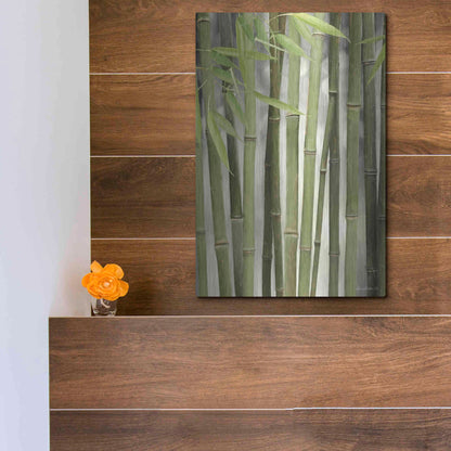 Luxe Metal Art 'Backlit Bamboo II' by Lori Deiter, Metal Wall Art,12x16