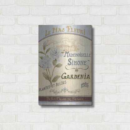 Luxe Metal Art 'French Seed Packet IV' by Daphne Brissonet, Metal Wall Art,16x24