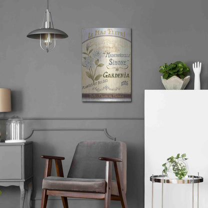 Luxe Metal Art 'French Seed Packet IV' by Daphne Brissonet, Metal Wall Art,16x24