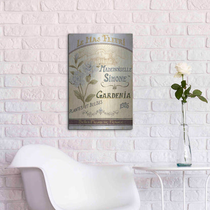 Luxe Metal Art 'French Seed Packet IV' by Daphne Brissonet, Metal Wall Art,16x24