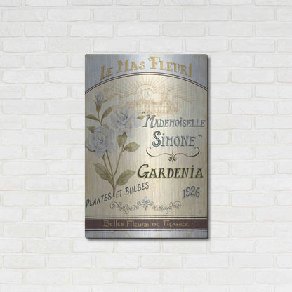 Luxe Metal Art 'French Seed Packet IV' by Daphne Brissonet, Metal Wall Art,24x36