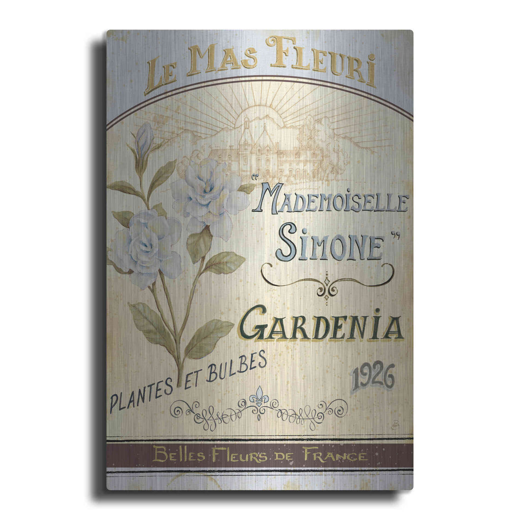 Luxe Metal Art 'French Seed Packet IV' by Daphne Brissonet, Metal Wall Art