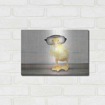 Luxe Metal Art 'Diving Duck' by Lori Deiter, Metal Wall Art,16x12