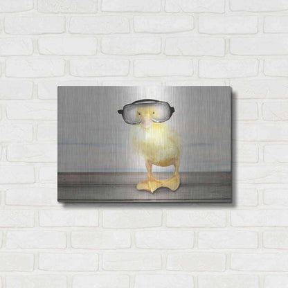 Luxe Metal Art 'Diving Duck' by Lori Deiter, Metal Wall Art,24x16