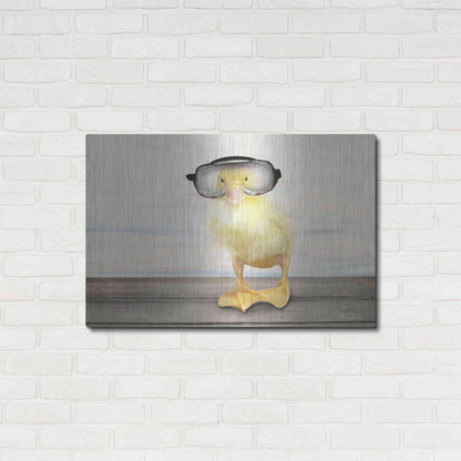 Luxe Metal Art 'Diving Duck' by Lori Deiter, Metal Wall Art,36x24