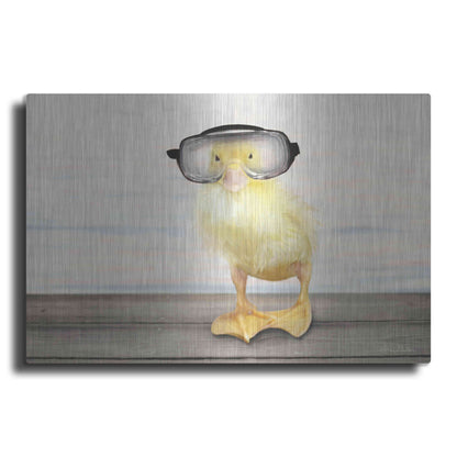 Luxe Metal Art 'Diving Duck' by Lori Deiter, Metal Wall Art