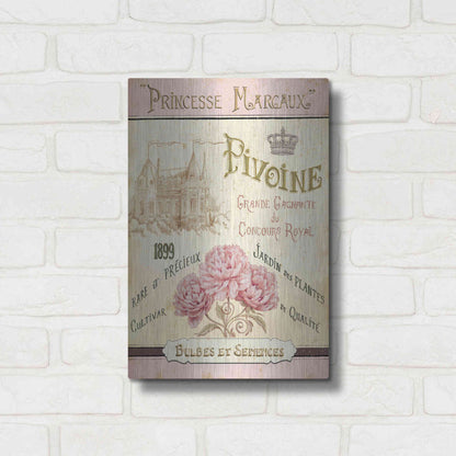 Luxe Metal Art 'French Seed Packet III' by Daphne Brissonet, Metal Wall Art,12x16