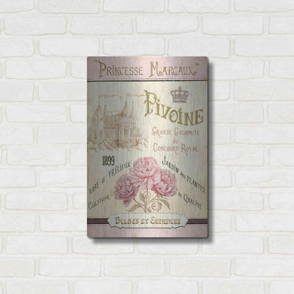 Luxe Metal Art 'French Seed Packet III' by Daphne Brissonet, Metal Wall Art,16x24