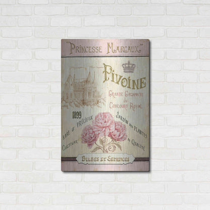 Luxe Metal Art 'French Seed Packet III' by Daphne Brissonet, Metal Wall Art,24x36