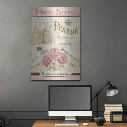 Luxe Metal Art 'French Seed Packet III' by Daphne Brissonet, Metal Wall Art,24x36