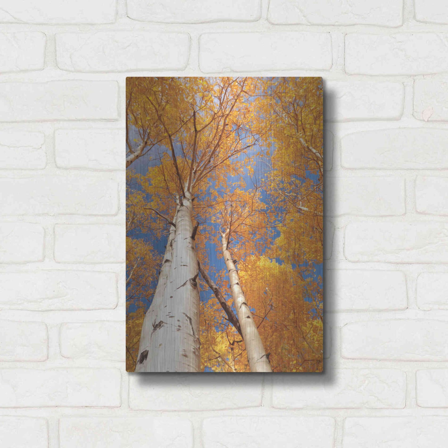 Luxe Metal Art 'Aspen I' by Lori Deiter, Metal Wall Art,12x16