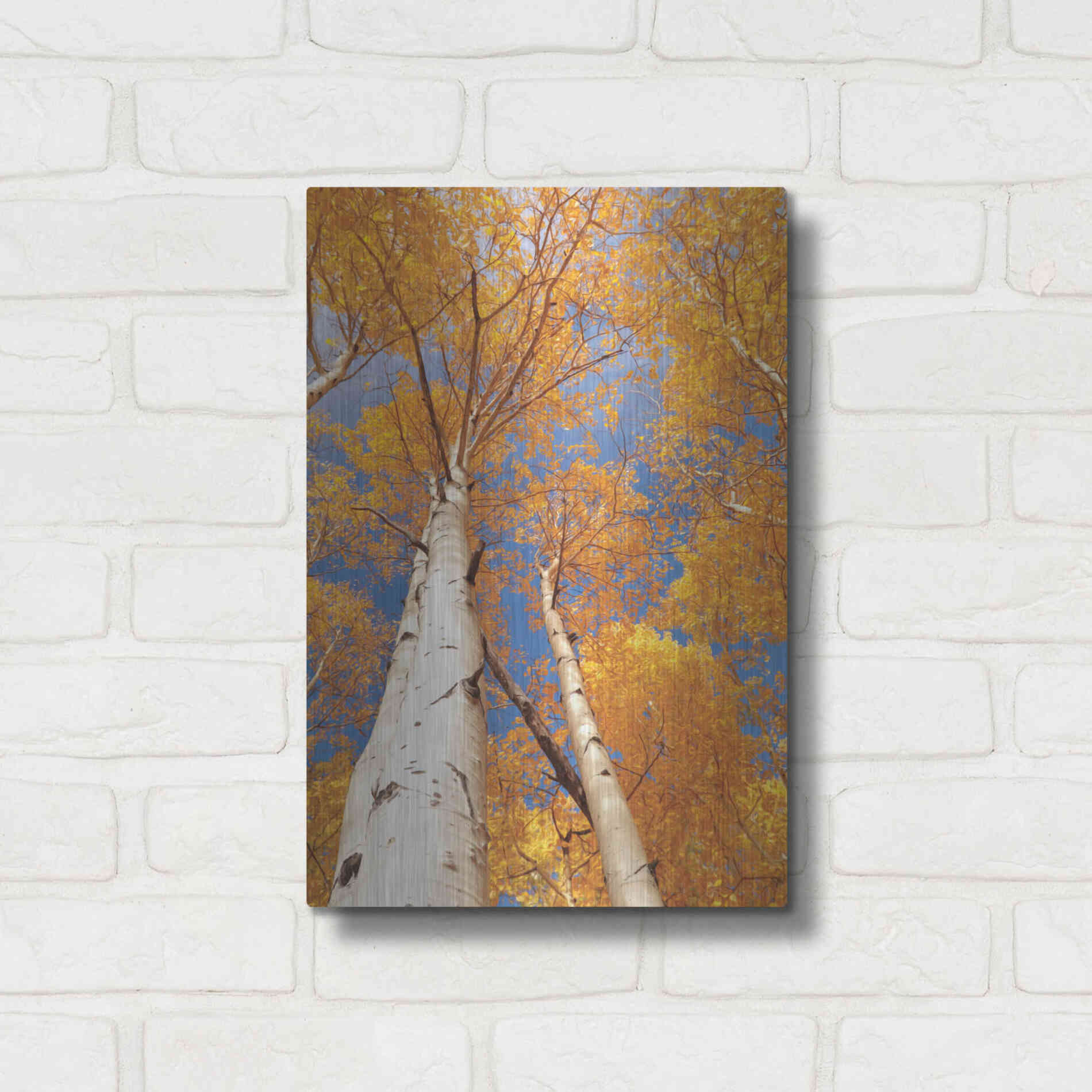 Luxe Metal Art 'Aspen I' by Lori Deiter, Metal Wall Art,12x16