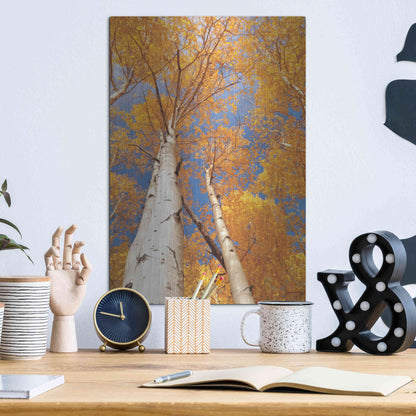 Luxe Metal Art 'Aspen I' by Lori Deiter, Metal Wall Art,12x16