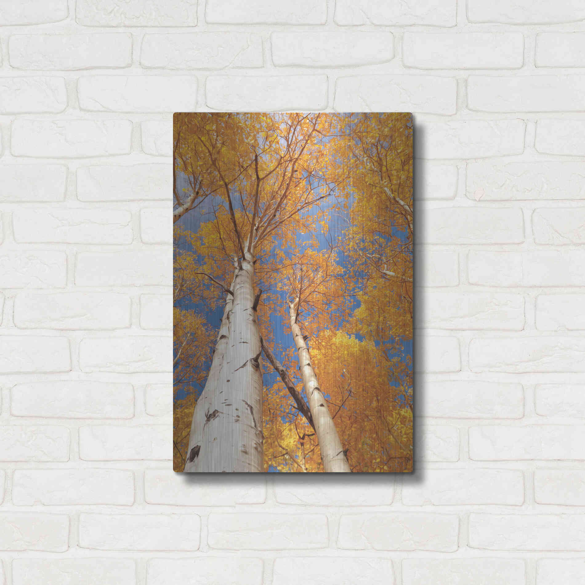 Luxe Metal Art 'Aspen I' by Lori Deiter, Metal Wall Art,16x24