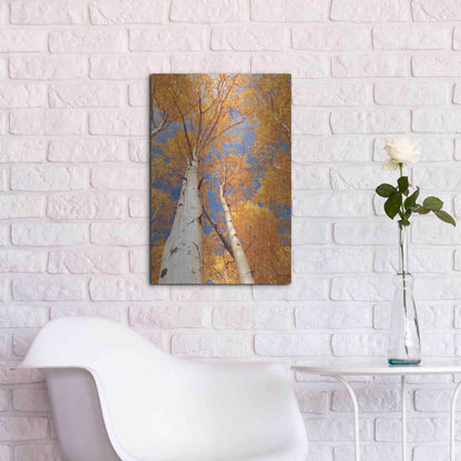 Luxe Metal Art 'Aspen I' by Lori Deiter, Metal Wall Art,16x24