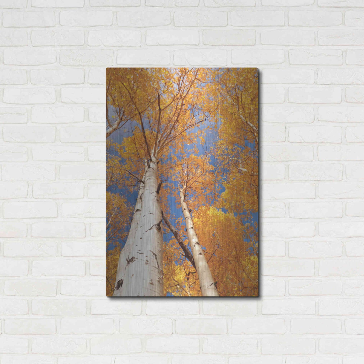 Luxe Metal Art 'Aspen I' by Lori Deiter, Metal Wall Art,24x36