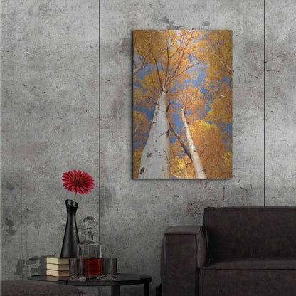 Luxe Metal Art 'Aspen I' by Lori Deiter, Metal Wall Art,24x36