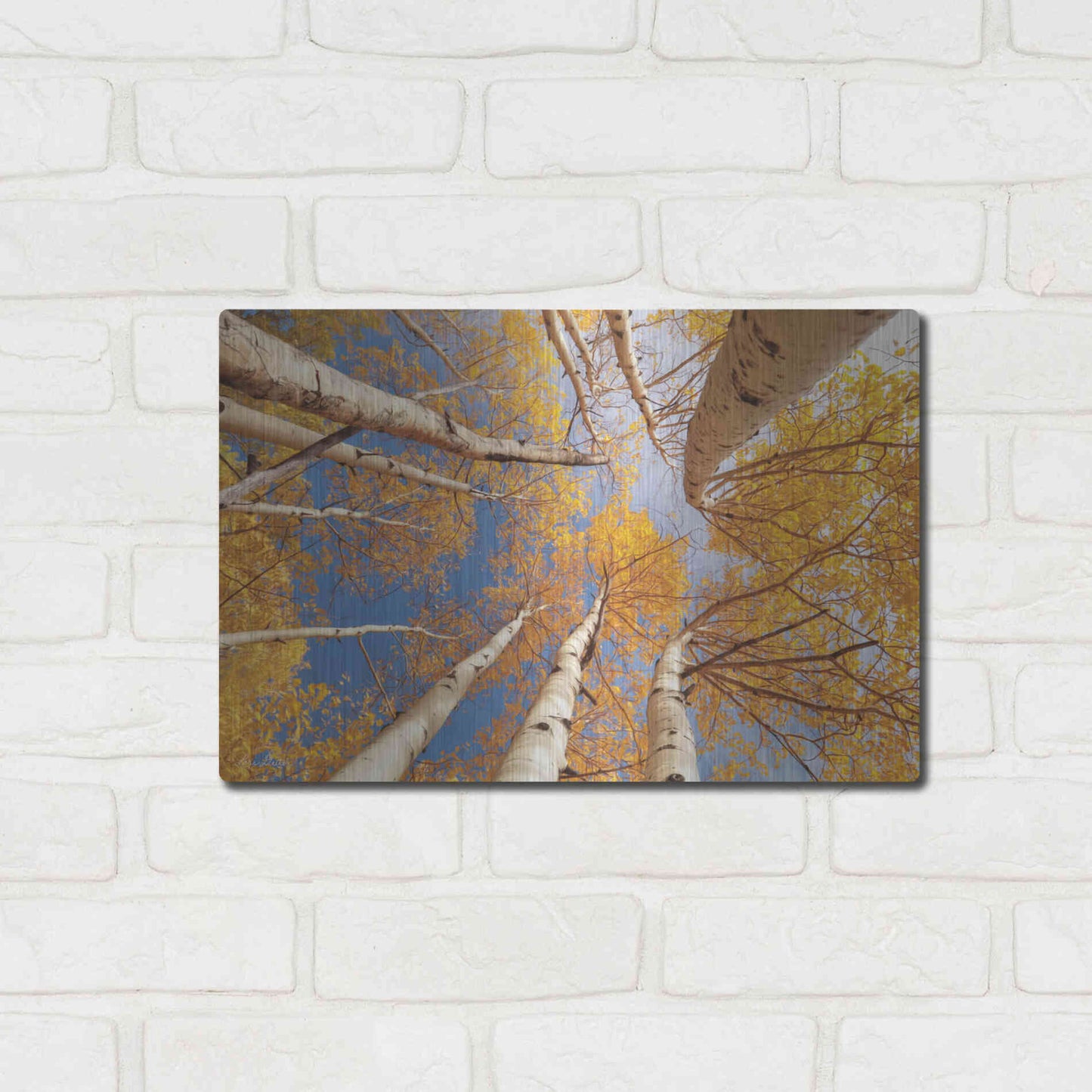 Luxe Metal Art 'Aspen II' by Lori Deiter, Metal Wall Art,16x12