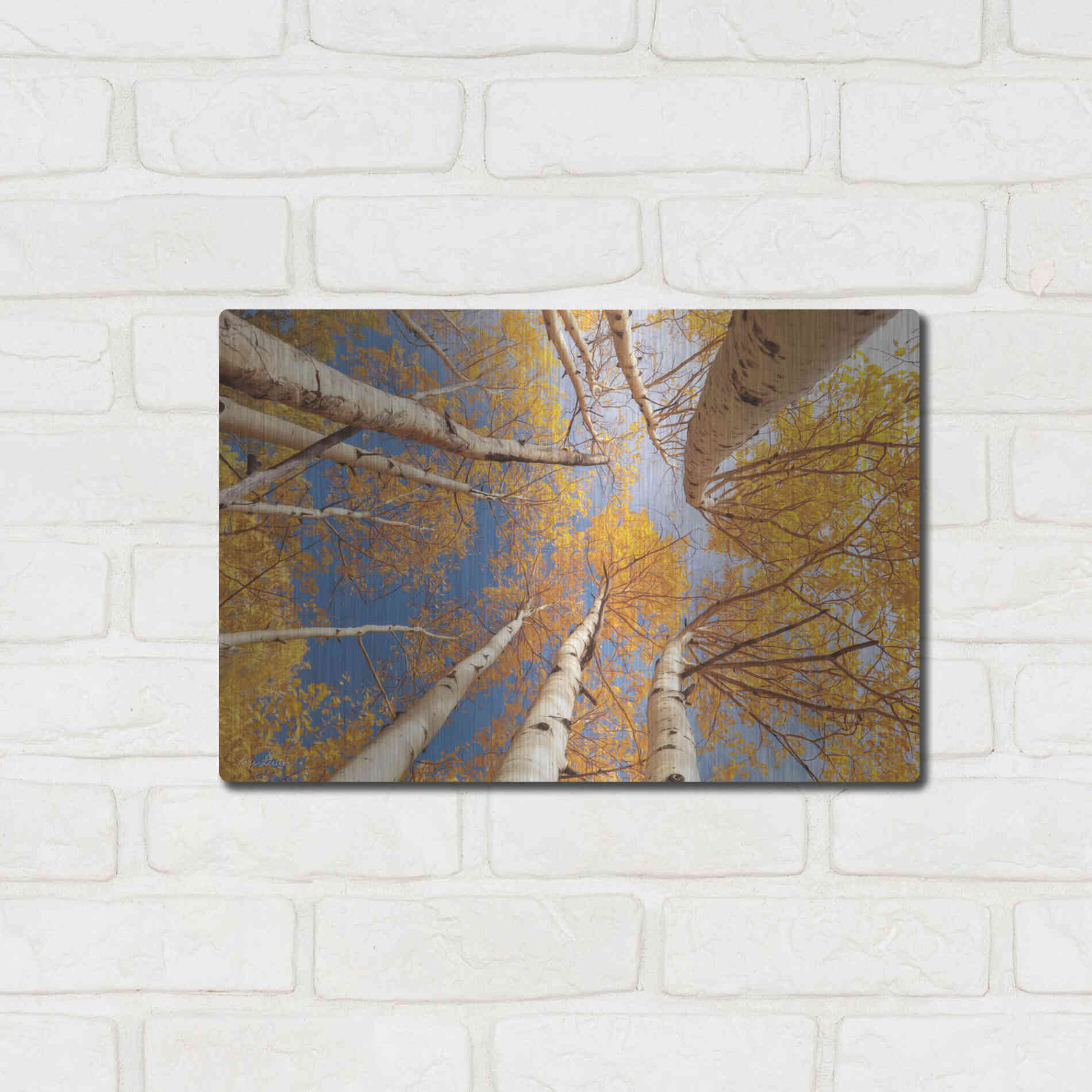 Luxe Metal Art 'Aspen II' by Lori Deiter, Metal Wall Art,16x12