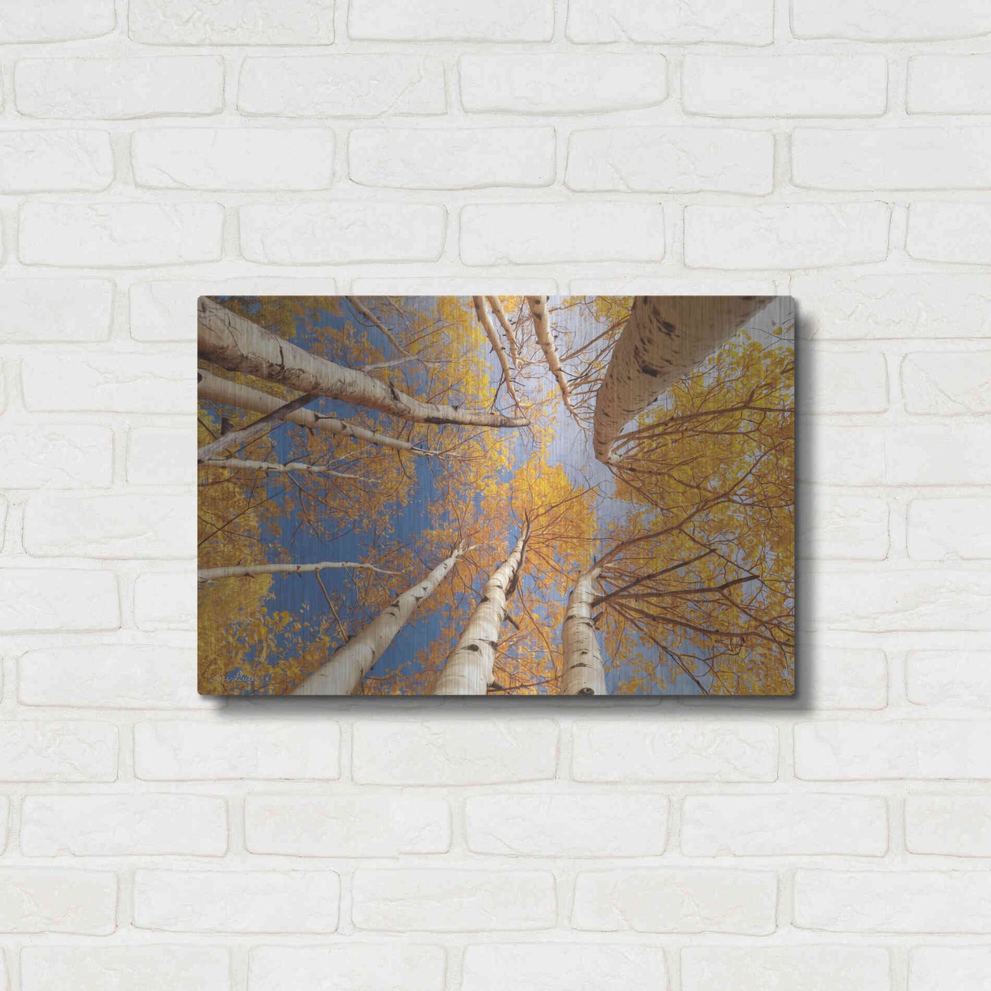 Luxe Metal Art 'Aspen II' by Lori Deiter, Metal Wall Art,24x16