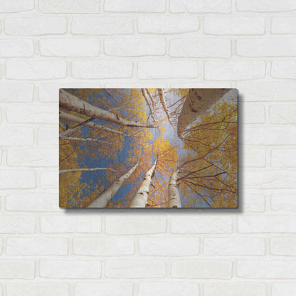 Luxe Metal Art 'Aspen II' by Lori Deiter, Metal Wall Art,24x16