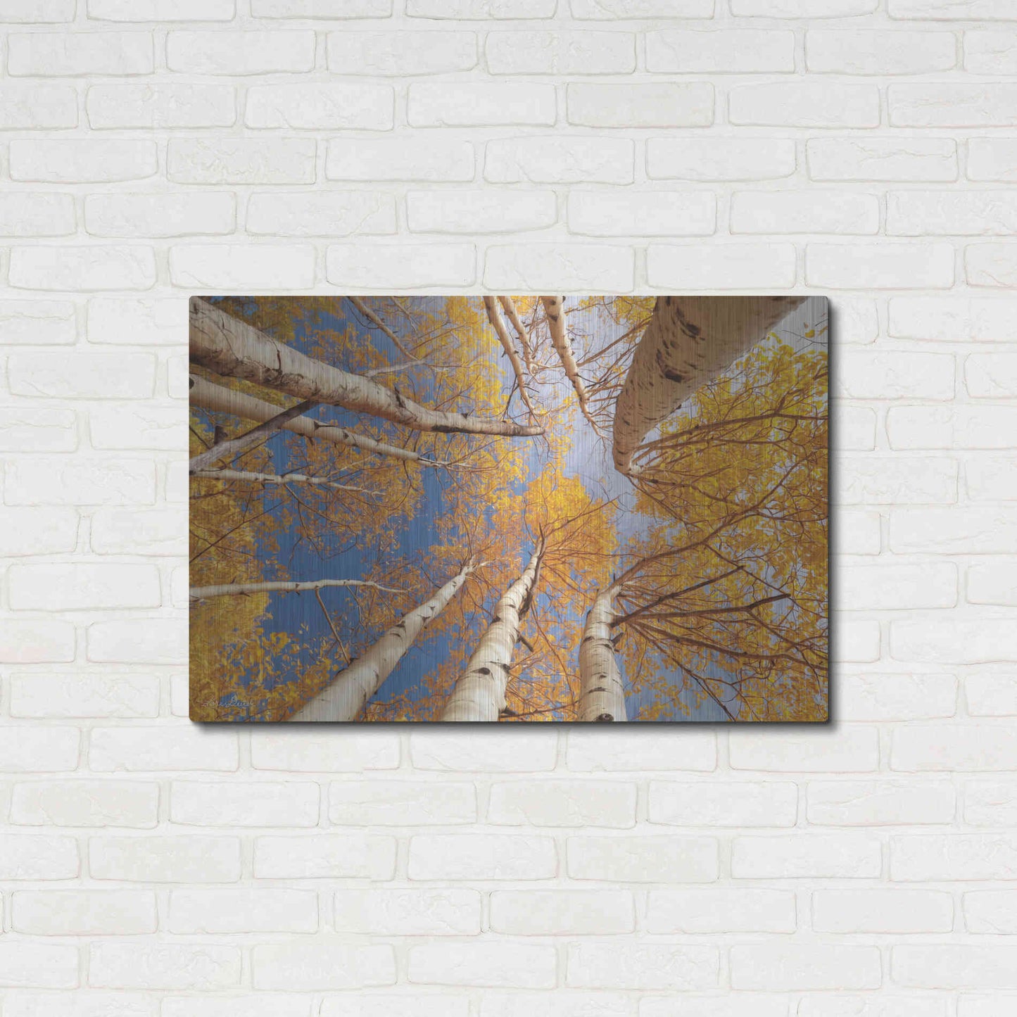 Luxe Metal Art 'Aspen II' by Lori Deiter, Metal Wall Art,36x24