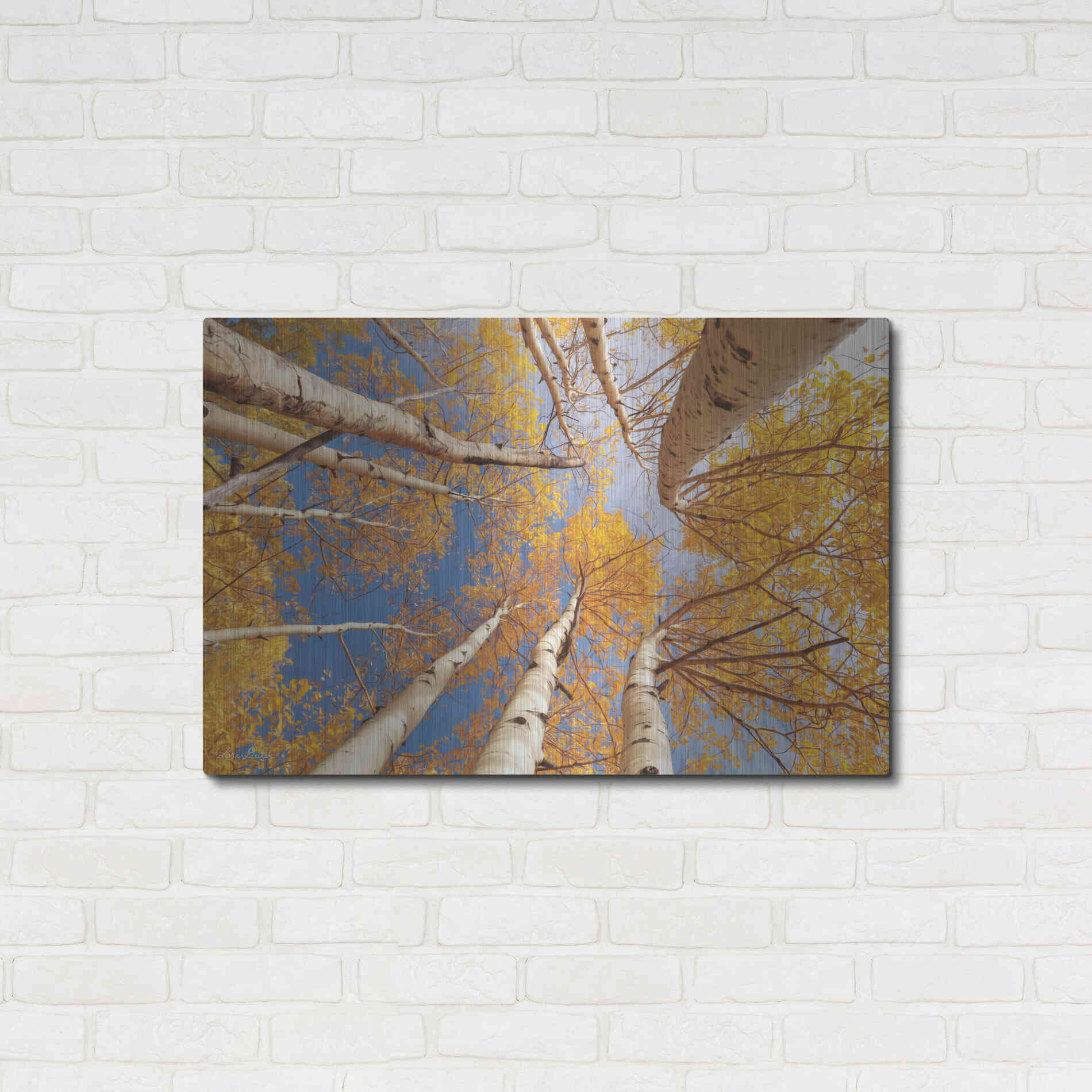 Luxe Metal Art 'Aspen II' by Lori Deiter, Metal Wall Art,36x24