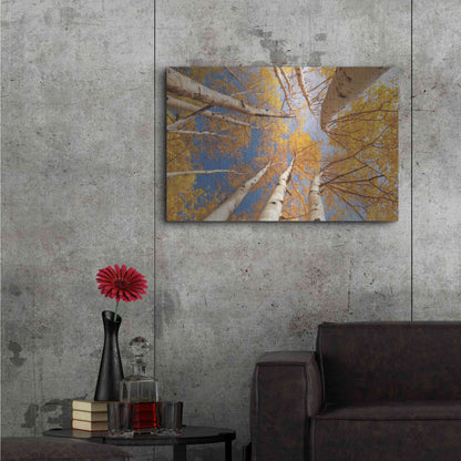 Luxe Metal Art 'Aspen II' by Lori Deiter, Metal Wall Art,36x24