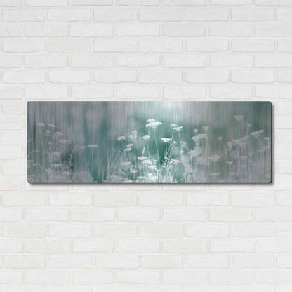 Luxe Metal Art 'Dreamy Meadow' by Lori Deiter, Metal Wall Art,48x16