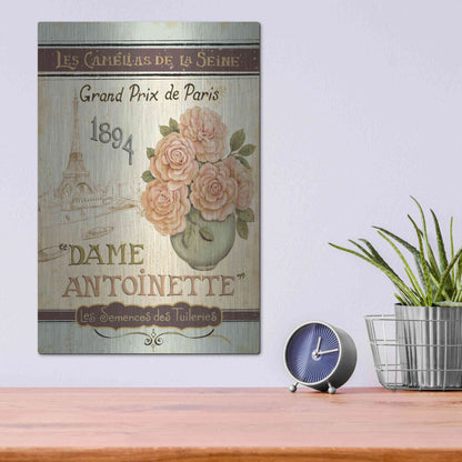 Luxe Metal Art 'French Seed Packet II' by Daphne Brissonet, Metal Wall Art,12x16