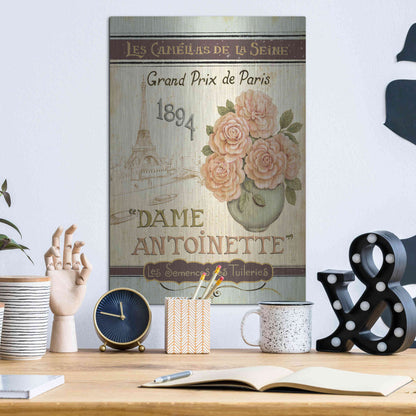 Luxe Metal Art 'French Seed Packet II' by Daphne Brissonet, Metal Wall Art,12x16