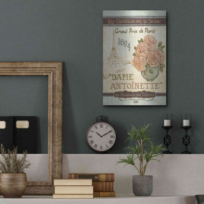Luxe Metal Art 'French Seed Packet II' by Daphne Brissonet, Metal Wall Art,12x16