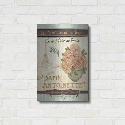 Luxe Metal Art 'French Seed Packet II' by Daphne Brissonet, Metal Wall Art,16x24