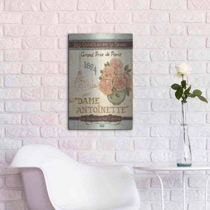 Luxe Metal Art 'French Seed Packet II' by Daphne Brissonet, Metal Wall Art,16x24