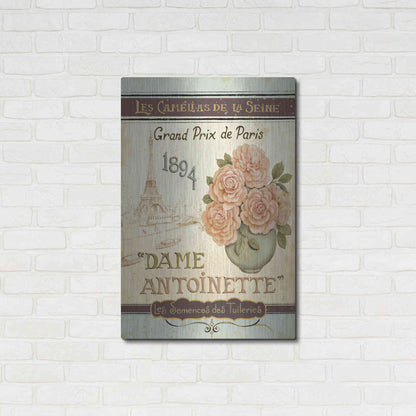 Luxe Metal Art 'French Seed Packet II' by Daphne Brissonet, Metal Wall Art,24x36