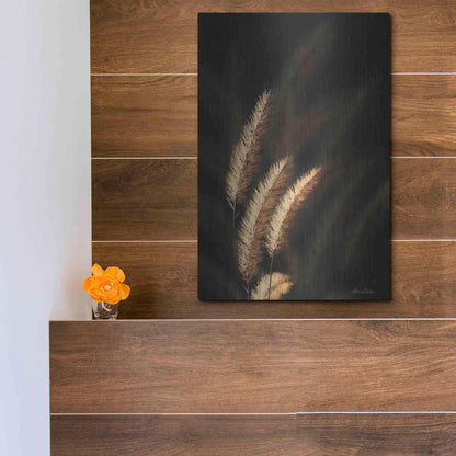Luxe Metal Art 'Golden Grass III' by Lori Deiter, Metal Wall Art,12x16