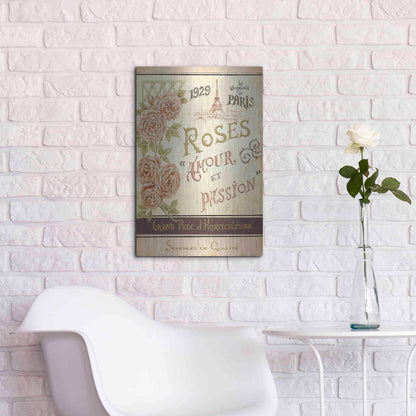 Luxe Metal Art 'French Seed Packet I' by Daphne Brissonet, Metal Wall Art,16x24