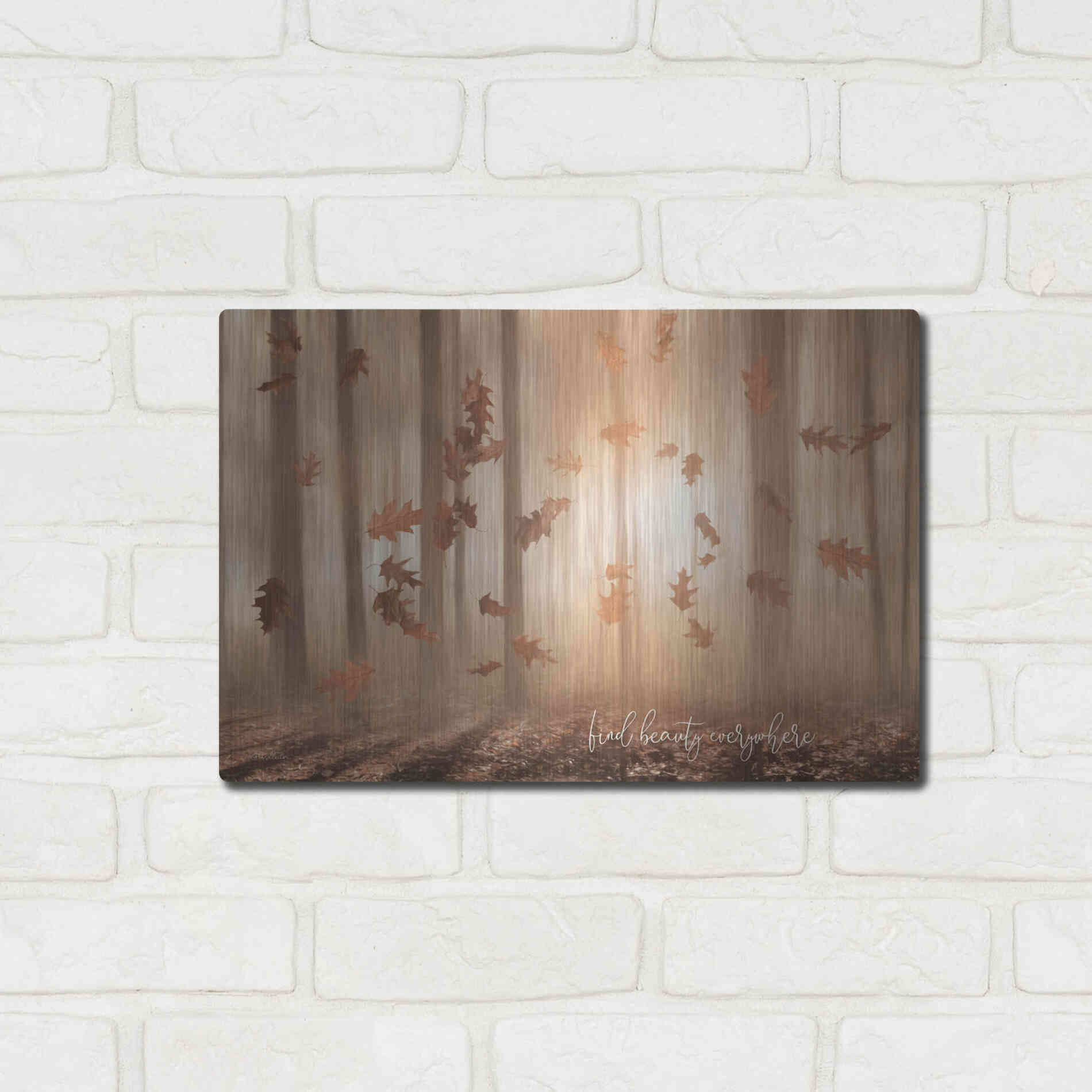 Luxe Metal Art 'Find Beauty Everywhere' by Lori Deiter, Metal Wall Art,16x12