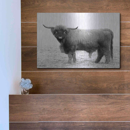 Luxe Metal Art 'Scotty the Bull' by Lori Deiter, Metal Wall Art,16x12