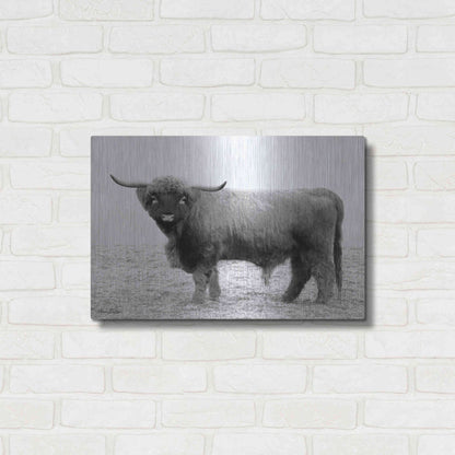 Luxe Metal Art 'Scotty the Bull' by Lori Deiter, Metal Wall Art,24x16