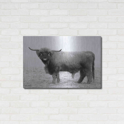 Luxe Metal Art 'Scotty the Bull' by Lori Deiter, Metal Wall Art,36x24
