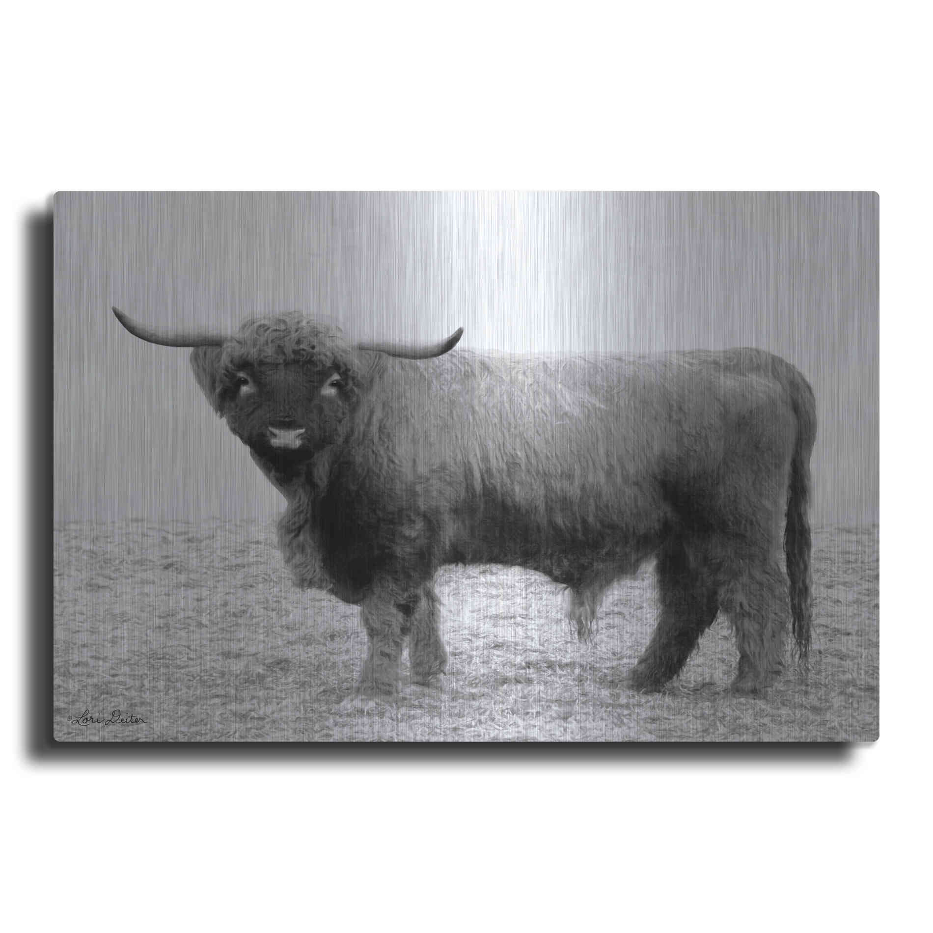 Luxe Metal Art 'Scotty the Bull' by Lori Deiter, Metal Wall Art